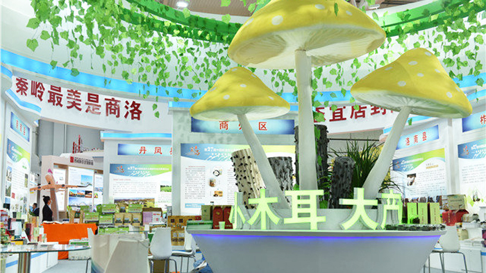 農(nóng)高會(huì)展區(qū)